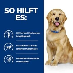 Hill's Prescription Diet J/d Joint Care Mit Huhn -Günstiges Futter Leine Geschäft atf 605645 how it helps 8