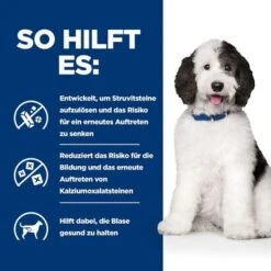 Hill's Prescription Diet C/d Multicare Huhn & Gemüse Ragout -Günstiges Futter Leine Geschäft atf 606412 how it helps 1