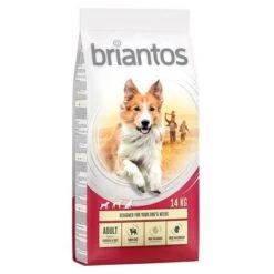Briantos Trockenfutter 13 + 1 Kg Gratis! -Günstiges Futter Leine Geschäft briantos adult chickenrice 14kg 1000x1000 9 1