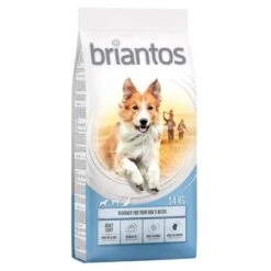 Briantos Trockenfutter 13 + 1 Kg Gratis! -Günstiges Futter Leine Geschäft briantos adult light 14kg 1000x1000 1 1 1
