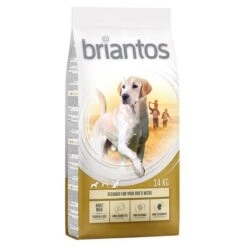 Briantos Trockenfutter 13 + 1 Kg Gratis! -Günstiges Futter Leine Geschäft briantos adult maxi chickenrice 14kg 1000x1000 2 1