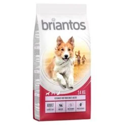 Briantos Sparpaket (2 X Großgebinde) -Günstiges Futter Leine Geschäft briantos adult salmonrice 14kg 1000x1000 0