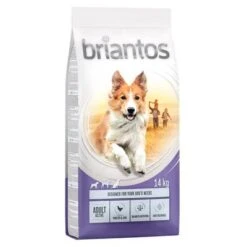 Briantos Trockenfutter 13 + 1 Kg Gratis! -Günstiges Futter Leine Geschäft briantos c 14kg adult active 2022 1000x1000 9