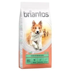 Briantos Trockenfutter 13 + 1 Kg Gratis! -Günstiges Futter Leine Geschäft briantos c 14kg adult sensitve 2022 1000x1000 3