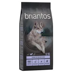 Briantos Sparpaket (2 X Großgebinde) -Günstiges Futter Leine Geschäft briantos hund adult duck 12kg 1000x1000 4