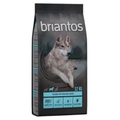 Briantos Sparpaket (2 X Großgebinde) -Günstiges Futter Leine Geschäft briantos hund adult salmon 12kg 1000x1000 3