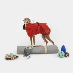 Nomad Tales Spirit Hunderegenmantel Copperneu -Günstiges Futter Leine Geschäft copper nt 2