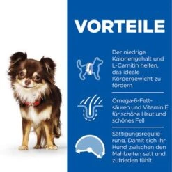 Hill's Science Plan Adult 1-6 Light Small & Mini Mit Huhn -Günstiges Futter Leine Geschäft de dog adult s m light chicken transition benefits 0