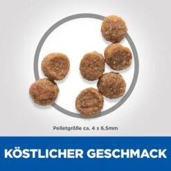Hill's Science Plan Puppy <1 Small & Mini Mit Huhn -Günstiges Futter Leine Geschäft de dog puppy s m chicken kibbles 9