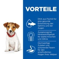 Hill's Science Plan Puppy <1 Small & Mini Mit Huhn -Günstiges Futter Leine Geschäft de dog puppy s m chicken transition benefits 2