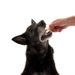 Trixie Kaurollen Gedreht (Rinderhaut), 12 Cm -Günstiges Futter Leine Geschäft dsc2571 9