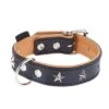 Heim Lederhalsband Stars, Schwarz/beige -Günstiges Futter Leine Geschäft dsc9109 4