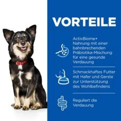 Hill's Science Plan Adult Perfect Digestion Small & Mini Breed -Günstiges Futter Leine Geschäft h195917 p364034 hills sp perfect digestion ecom thumbnails dog de de v25 key benefits mini 1