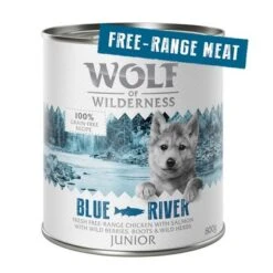 Wolf Of Wilderness Junior 6 X 800 G - "Freiland-Fleisch" Duo-Protein