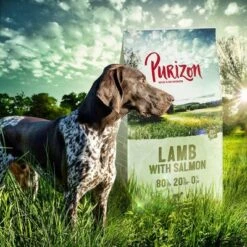 Purizon Probierpaket 2 X 1 Kg -Günstiges Futter Leine Geschäft lamb 4