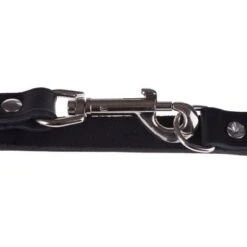 Heim Führleine, Genietet, Schwarz -Günstiges Futter Leine Geschäft lederleinen 32 5