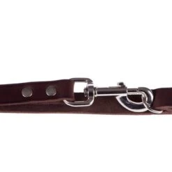 Heim Führleine Genietet, Braun -Günstiges Futter Leine Geschäft lederleinen 42 2