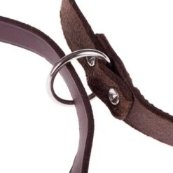 Heim Führleine Genietet, Braun -Günstiges Futter Leine Geschäft lederleinen 43 7