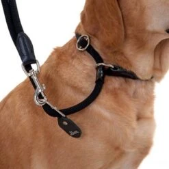 HUNTER Retriever-Führleine Freestyle -Günstiges Futter Leine Geschäft leine halsband 13 1