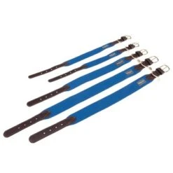 Nomad Tales Bloom Halsband, Sapphire -Günstiges Futter Leine Geschäft nomad tales bloom halsbaender fg 1451 2