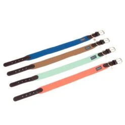 Nomad Tales Bloom Halsband, Sapphire -Günstiges Futter Leine Geschäft nomad tales bloom halsbaender fg 1487 3