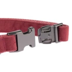 Nomad Tales Blush Halsband, Rosé 27 Nomad Tales Blush Halsband, Rosé -Günstiges Futter Leine Geschäft nomad tales blush halsbaender fg 1323 7