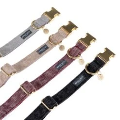 Nomad Tales Calma Halsband, Stone 31 Nomad Tales Calma Halsband, Stone -Günstiges Futter Leine Geschäft nomad tales calma halsbaender fg 1636 8