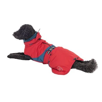 Nomad Tales Bloom Hundemantel Sunsetneu 20 Nomad Tales Bloom Hundemantel Sunsetneu – Bild 18