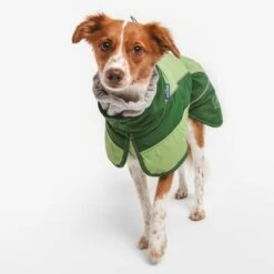 Nomad Tales Bloom Hundemantel Lushneu -Günstiges Futter Leine Geschäft nt lush1 9