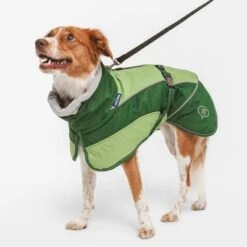 Nomad Tales Bloom Hundemantel Lushneu -Günstiges Futter Leine Geschäft nt lush2 8