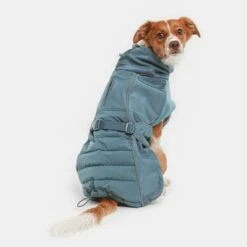 Nomad Tales Spirit Softshell-Hundemantel Pacificneu -Günstiges Futter Leine Geschäft nt pacific1 1