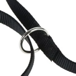 Sparset: Hunde-Softgeschirr Feel Free - Schwarz + HUNTER Führleine Ecco Sport, Schwarz 38 Sparset: Hunde-Softgeschirr Feel Free - Schwarz + HUNTER Führleine Ecco Sport, Schwarz -Günstiges Futter Leine Geschäft nylon leinen 64 7