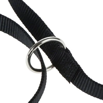 Sparset: Hunde-Softgeschirr Feel Free - Schwarz + HUNTER Führleine Ecco Sport, Schwarz 19 Sparset: Hunde-Softgeschirr Feel Free - Schwarz + HUNTER Führleine Ecco Sport, Schwarz – Bild 17