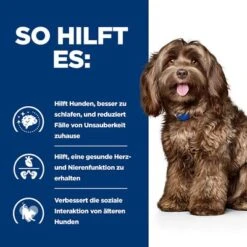Hill's Prescription Diet B/d Ageing Care Trockenfutter Für Hunde Mit Huhn 15 Hill's Prescription Diet B/d Ageing Care Trockenfutter Für Hunde Mit Huhn -Günstiges Futter Leine Geschäft pd bd dog bk28322m how helps de 4
