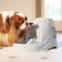 PetSafe® Drinkwell® Platinum Trinkbrunnen -Günstiges Futter Leine Geschäft pla radiosystems drinkwellplatinumtrinkbrunnen 5liter dog 1