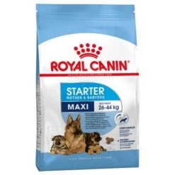 Sparpaket Royal Canin Size 33 Sparpaket Royal Canin Size -Günstiges Futter Leine Geschäft pla royal canin shn maxi starter packshot 6