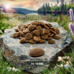 Übergangsset! Purizon- Getreidefrei Für Welpen Und Erwachsene Hunde 30 Übergangsset! Purizon- Getreidefrei Für Welpen Und Erwachsene Hunde -Günstiges Futter Leine Geschäft purizon hund adult chicken 14 16 mm 4