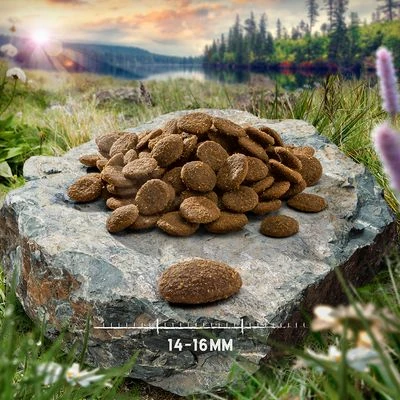 Übergangsset! Purizon- Getreidefrei Für Welpen Und Erwachsene Hunde 16 Übergangsset! Purizon- Getreidefrei Für Welpen Und Erwachsene Hunde – Bild 14