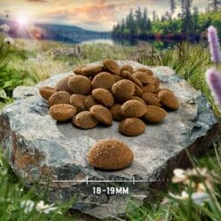 Übergangsset! Purizon- Getreidefrei Für Welpen Und Erwachsene Hunde 28 Übergangsset! Purizon- Getreidefrei Für Welpen Und Erwachsene Hunde -Günstiges Futter Leine Geschäft purizon hund adult large chicken 18 19 mm 7