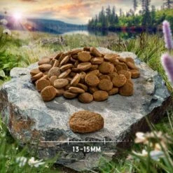 Purizon Single Meat Probierpaket 3 X 1 Kg -Günstiges Futter Leine Geschäft purizon hund adult singlemeat chicken 13 15 mm 8