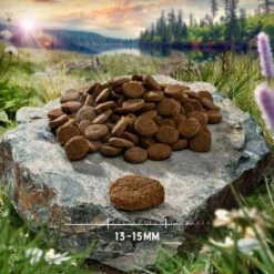 Purizon Single Meat Probierpaket 3 X 1 Kg -Günstiges Futter Leine Geschäft purizon hund adult singlemeat duck 13 15 mm 6