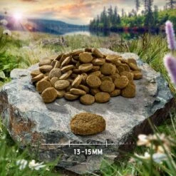 Purizon Single Meat Probierpaket 3 X 1 Kg -Günstiges Futter Leine Geschäft purizon hund adult singlemeat salmon 13 15 mm 8