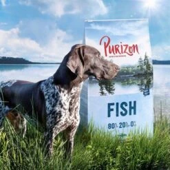 Purizon Probierpaket 2 X 1 Kg -Günstiges Futter Leine Geschäft purizon idcard fish 1000x1000 2 1 7