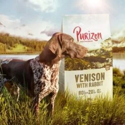 Purizon Probierpaket 2 X 1 Kg -Günstiges Futter Leine Geschäft purizon idcard venison 1000x1000 1 9