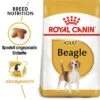 Royal Canin Beagle Adult 2 Royal Canin Beagle Adult -Günstiges Futter Leine Geschäft rc bhn beagle mv eretailkit de de 3