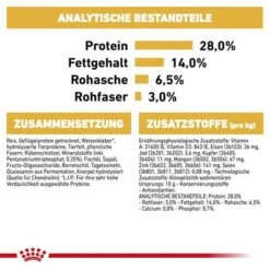 Royal Canin Dachshund Adult -Günstiges Futter Leine Geschäft rc bhn dachshundadult cv eretailkit 6 de de 4