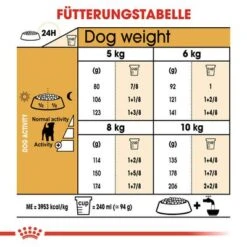Royal Canin Jack Russell Terrier Adult -Günstiges Futter Leine Geschäft rc bhn jackrussell cv eretailkit 5 de de 4