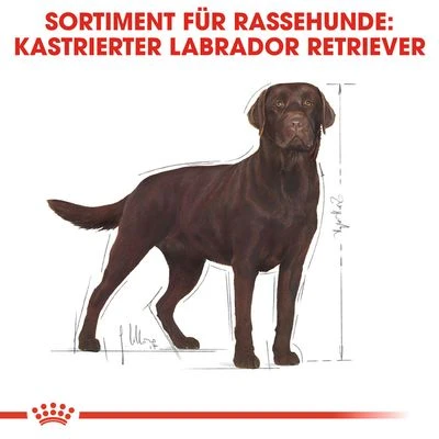 Royal Canin Labrador Retriever Adult Sterilised 8 Royal Canin Labrador Retriever Adult Sterilised – Bild 6