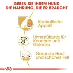 Royal Canin Labrador Retriever Adult Sterilised 13 Royal Canin Labrador Retriever Adult Sterilised -Günstiges Futter Leine Geschäft rc bhn labradorsterilised cv eretailkit 3 de de 4