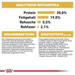 Royal Canin Poodle Adult 10 Royal Canin Poodle Adult -Günstiges Futter Leine Geschäft rc bhn poodleadult cv eretailkit 6 de de 6